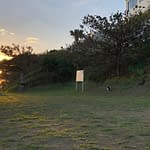 ２０２２年初日の出と瀬長島の猫